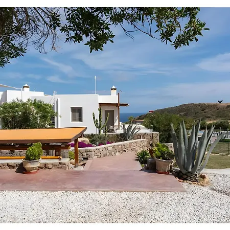 Luna Rossa Milos - Olive *