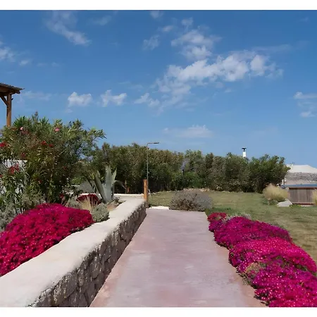 Luna Rossa Milos - Olive Holiday home