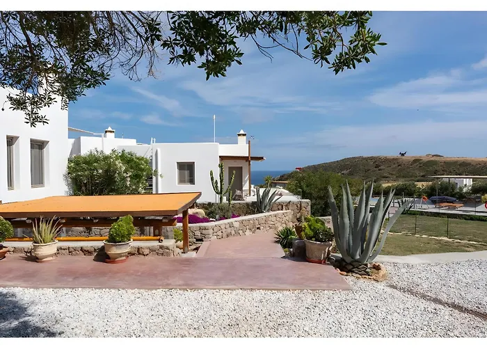 Luna Rossa Milos - Olive *