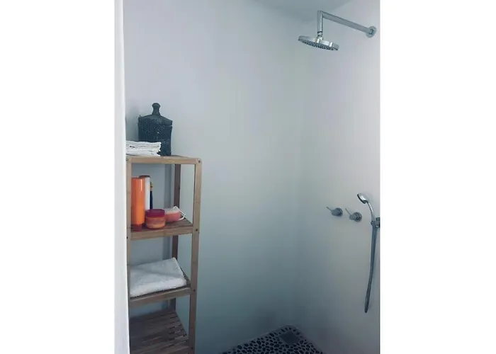 Luna Rossa Milos - Olive * Provatas